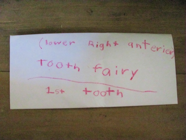 How much does the tooth fairy pay?